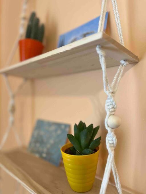 Vicino A Tutto Bed and Breakfast Βερτσέλλι Εξωτερικό φωτογραφία